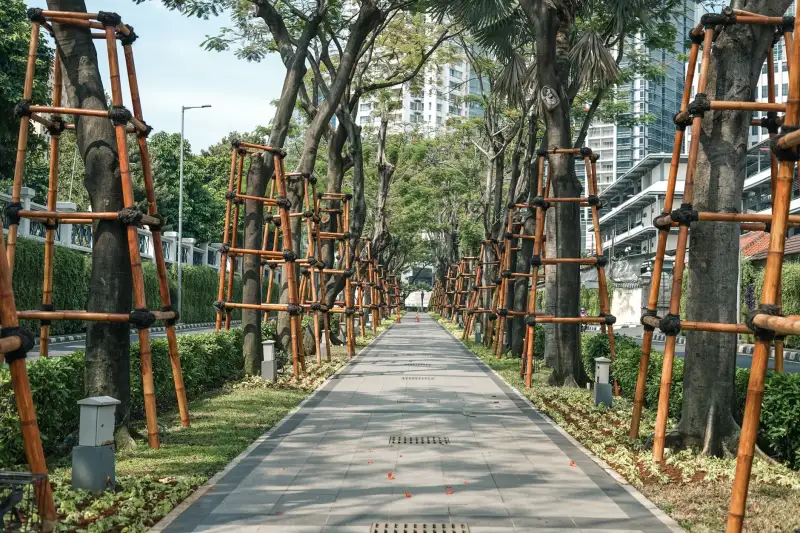 企业搭建在线社区：问答与投票软件光盘一体化解决方案