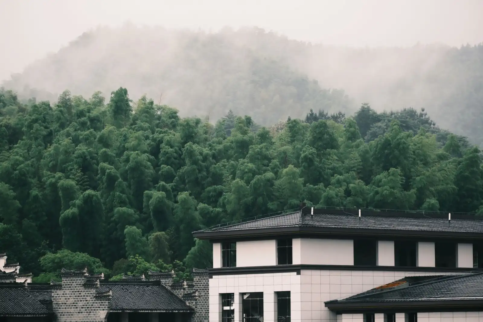 企业搭建在线问答社区：投票软件光盘的集成方案设计