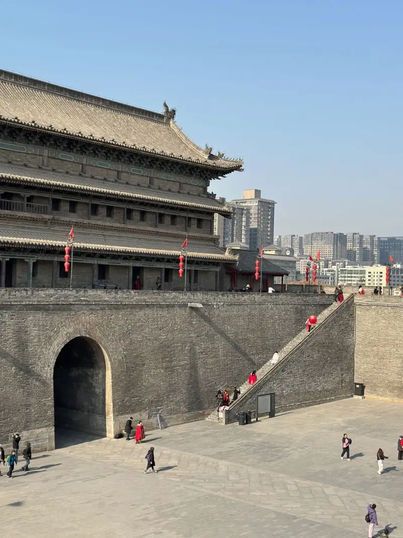 聚人网论坛软件光盘各版本功能差异与适用场景详解