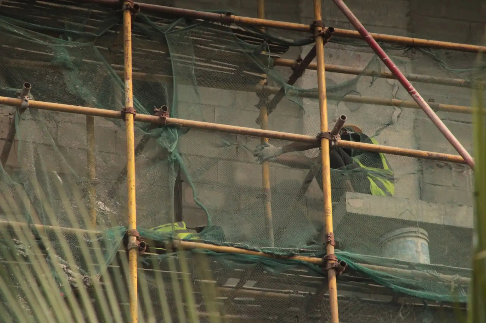 企业搭建在线社区：问答软件光盘与投票软件光盘的应用场景分析