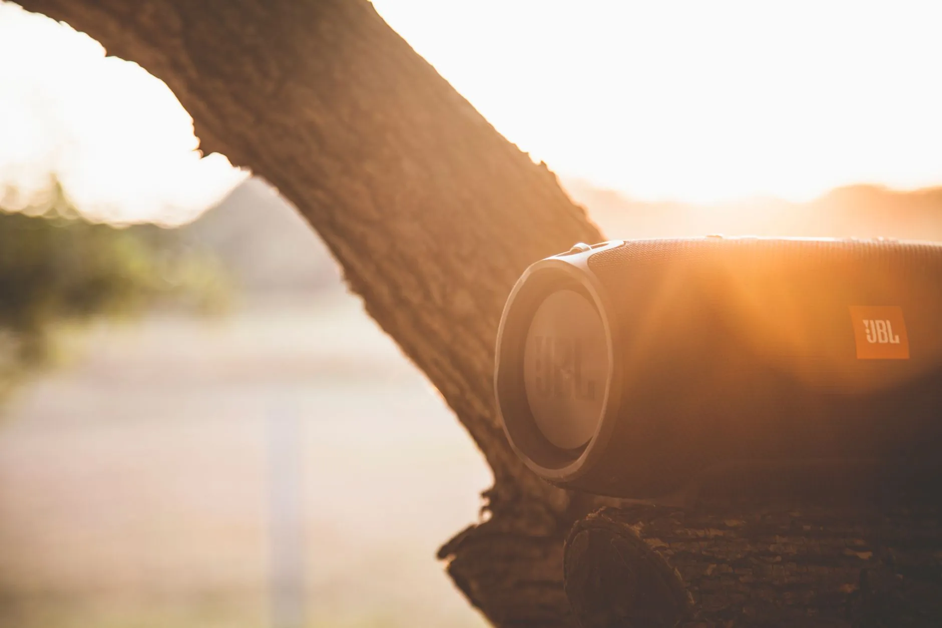 聚人网论坛软件光盘多型号功能差异对比分析