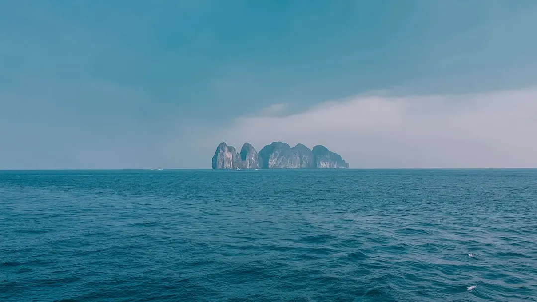 社区软件光盘选购指南：问答与投票功能的技术要点对比