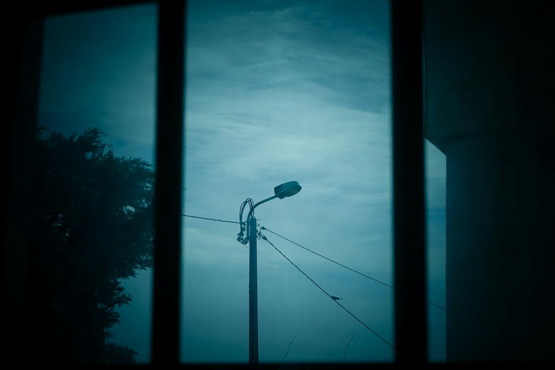 社区软件光盘选购指南：从功能对比到兼容性评估